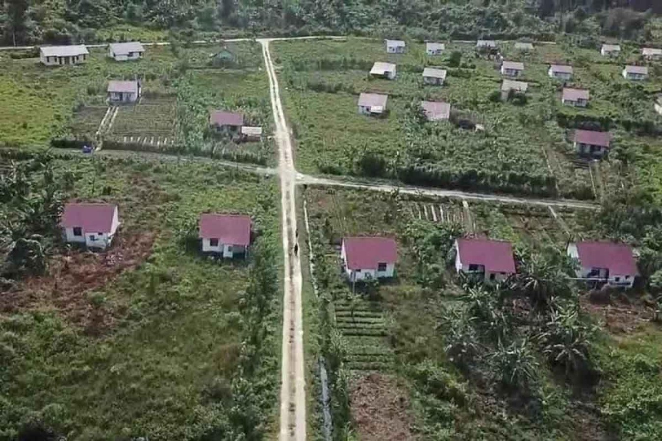 Desa Trans Baru Simeulue: Profil Wilayah, Asal Nama, dan Kehidupan Masyarakat di Teupah Selatan
