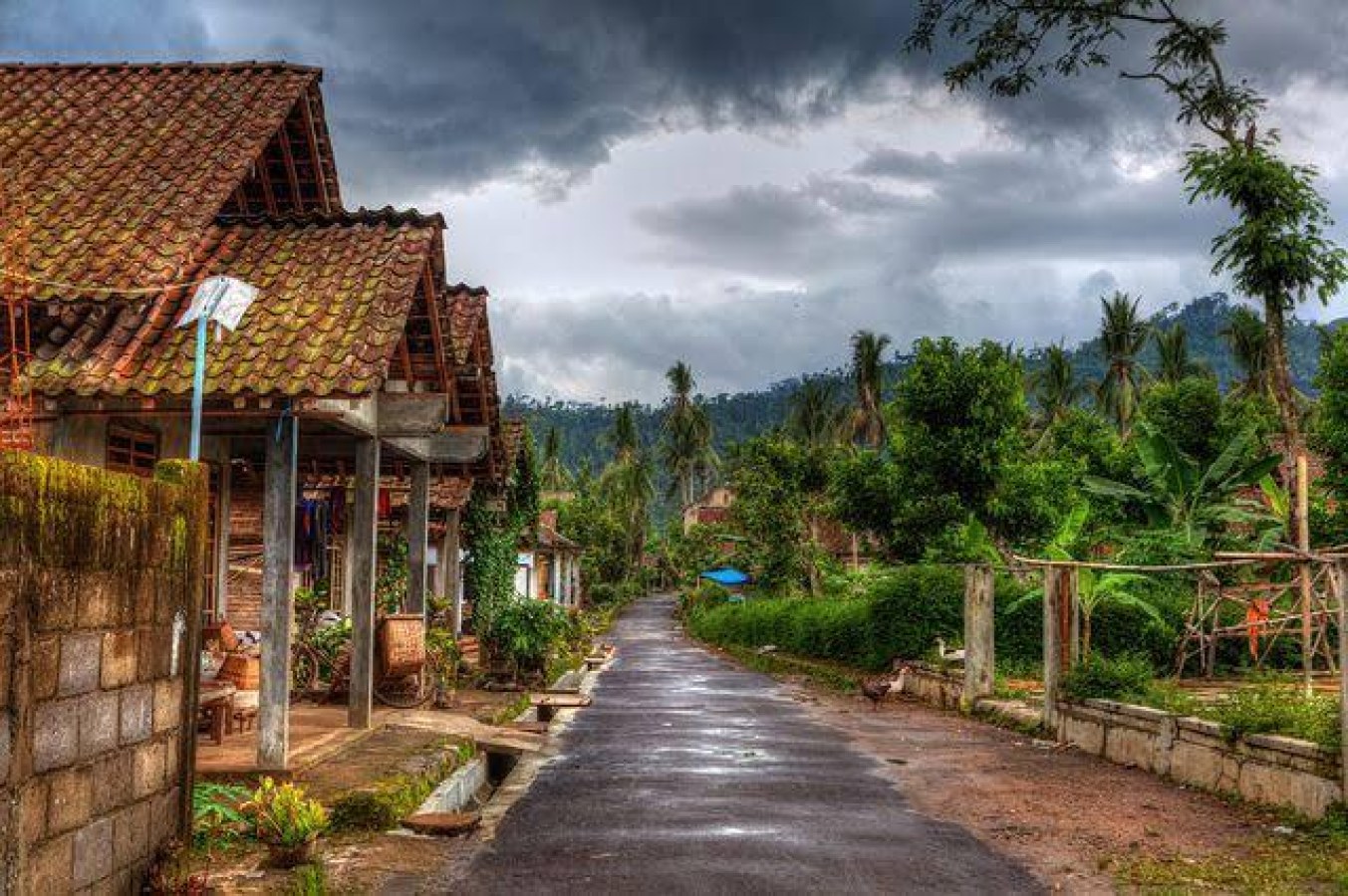 Batu Ralang: Desa di Simeulue yang Tenang dengan Jejak Alam dan Kehidupan Sederhana