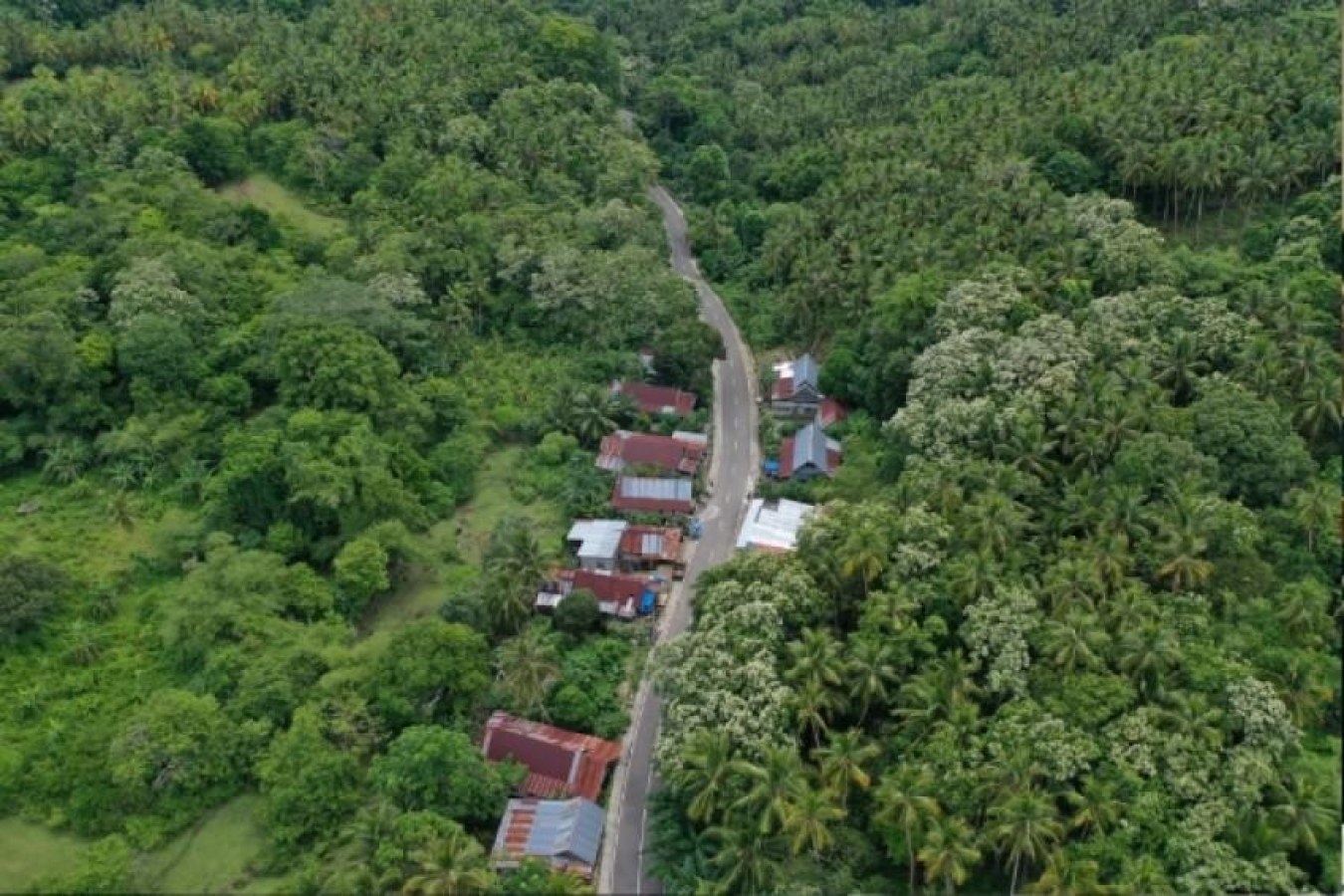 Desa Trans Jernge di Kecamatan Teupah Selatan, Kabupaten Simeulue: Profil Wilayah dan Gambaran Umum