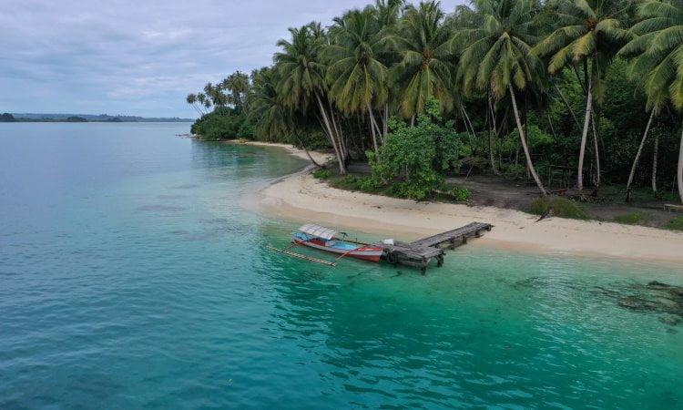 Desa Air Pinang di Kecamatan Simeulue Timur, Kabupaten Simeulue: Profil Wilayah dan Gambaran Umum