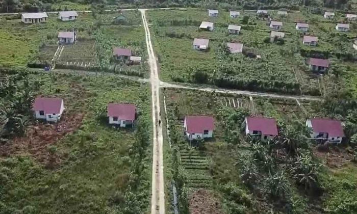 Desa Trans Baru Simeulue: Profil Wilayah, Asal Nama, dan Kehidupan Masyarakat di Teupah Selatan